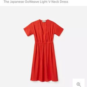 NWT Everlane GoWeave V-Neck dress